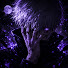 zLKUn1gGKHI-channel-avatar-LaxRois