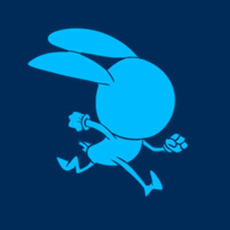 blue rabbit inc 