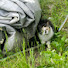 9ZGFF_bYenc-channel-avatar-Quadlyst