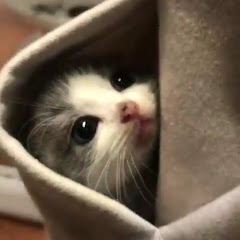あやせ