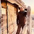 _M8q5ftPFRQ-channel-avatar-j.shoots.pictures