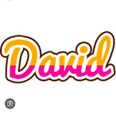 MR DEVID 28