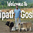 Punganur Cows
