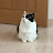@꼬미-e7j