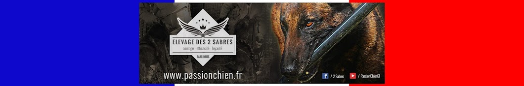 Passion Chien / Les 2 Sabres YouTube channel avatar