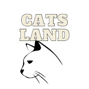 Cats Land