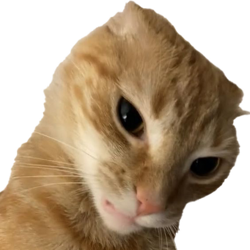 Hải Lâm