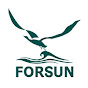 Forsun CNC Router Machine logo