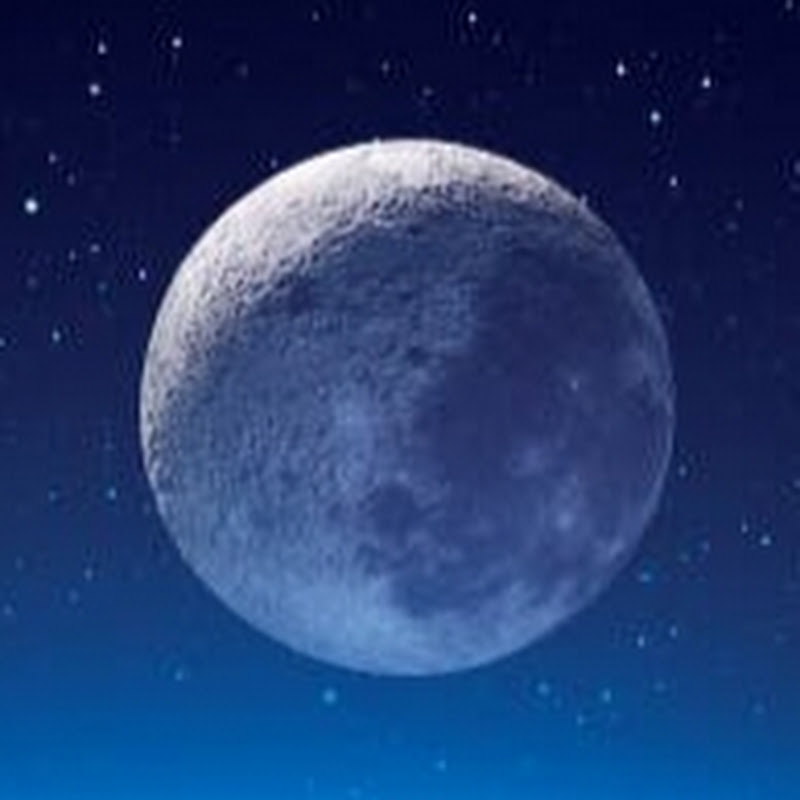 Hire Mohammad shaban — Kids & Family YouTube creator for sponsorships