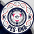 Yzr6iTZZLrw-channel-avatar-PES_DNA Shales