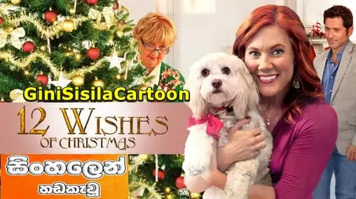 Sinhala Dubbed - 12 Wishes of Christmas (2011)