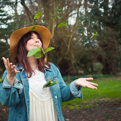 Rebloom Music