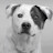 @JC1998-m3q