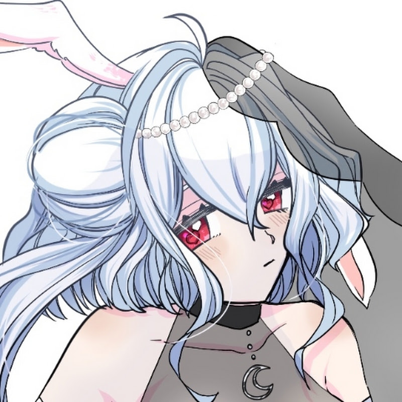 雨嵐あられ_新人VTuber️