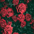 @Farahhesham-m4z