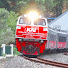 yD_pakRz-2Q-channel-avatar-KERETA NUSANTARA