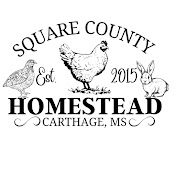 Square County Homestead