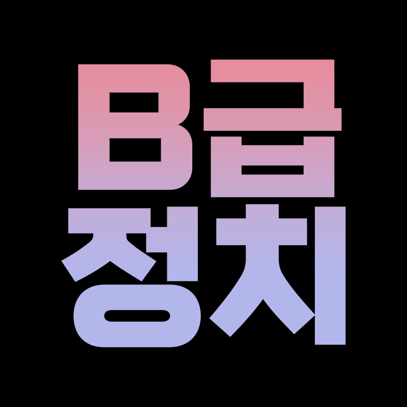 B급정치