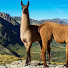 nZiuo7GRsZI-channel-avatar-Manu.viagens e curiosidades