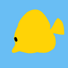 해수인tv yellow aquarium</p>