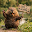 xVjK4U7LX70-channel-avatar-Wild Animals Wildcam