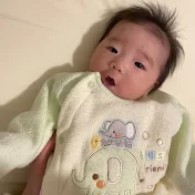 ぴょんちゃんねる