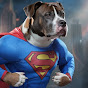 SuperDogs logo