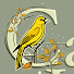 -NHiT1CW5vs-channel-avatar-Canary House