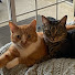 Nw83j8RSxrg-channel-avatar-trxmias