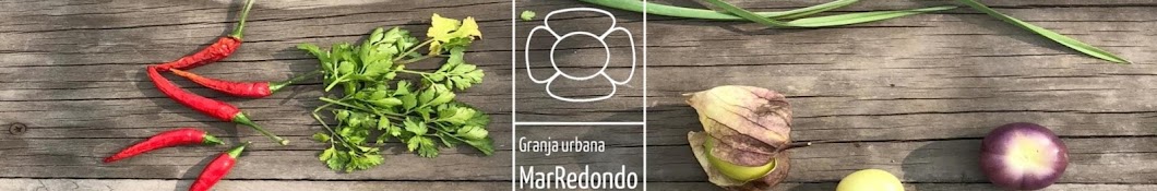 Huerto Urbano Mar Redondo YouTube channel avatar
