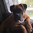 @BoxerBrunos-ip8ny