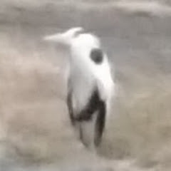 くﾚま''