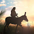 O2UJd2dH98Q-channel-avatar-Hosanna YC