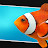 Manly Clownfish