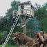 rUH47_tJrPI-channel-avatar-Misa in the WILD