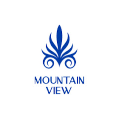 MountainViewEG net worth