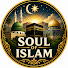 0TaSnKuSaUg-channel-avatar-Soul OF Islam