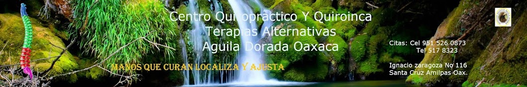 Quiroinka Francisco M. Noriega Flores Аватар канала YouTube