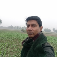 Onlyfun profile image
