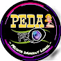 PEDAL PRO OFFICIAL logo
