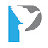 CY1bOhLnmtw-channel-avatar-Pigeon Sport
