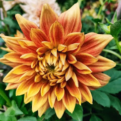 Thumbnail of related channel