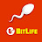 @bitlifewarrior