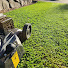 _e3TM6tjyR0-channel-avatar-southcoastmowers