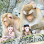 Gentle Monkey World logo