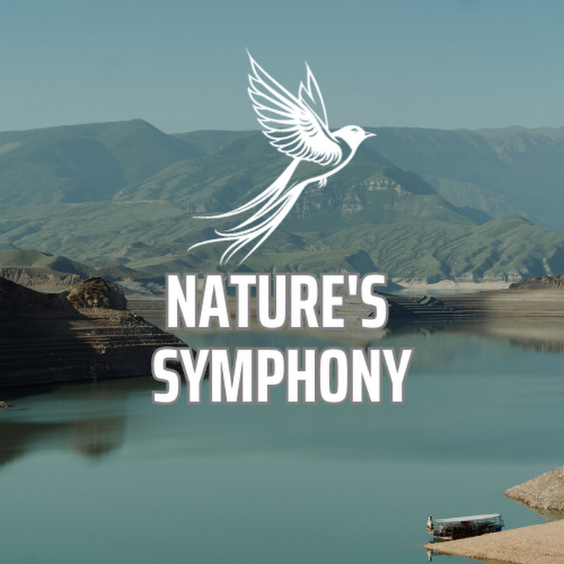 Nature's Symphony