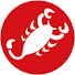 dMgIjZLu2xQ-channel-avatar-Castelli Cycling