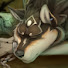 _dJb9ADPdag-channel-avatar-The Dashing Wolf Guy
