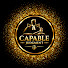 NPtVcACk_tk-channel-avatar-CAPABLE JUDGMENT