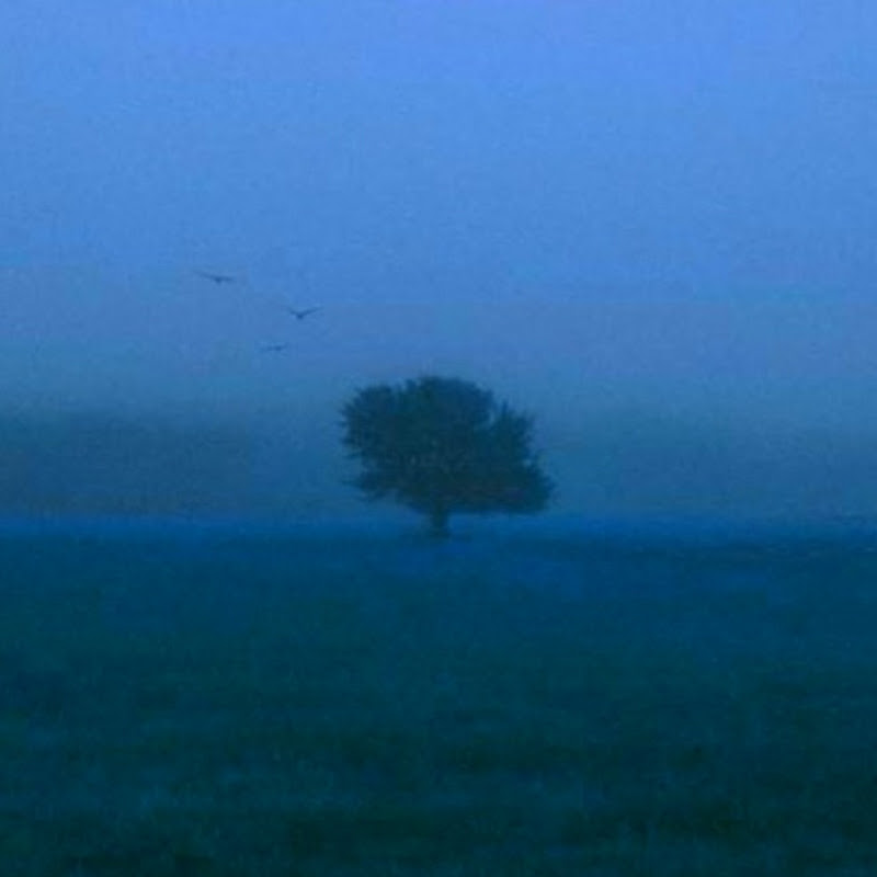 liminal sorrow
